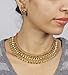 Traditional Style Beautiful Gold Tone Multi Stone Polki Necklace Set Partywear Indian Jewelry