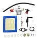Carbhub Carburetor for Briggs & Stratton 791077 696981 Craftsman Tiller Intek 190 6hp 206 5.5hp Engine Motor 6.5hp Intek Power Washer Go Kart Generator with Air Filter Spark Plug Fuel Hose