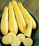 Squash, Early Prolific Straightneck Squash