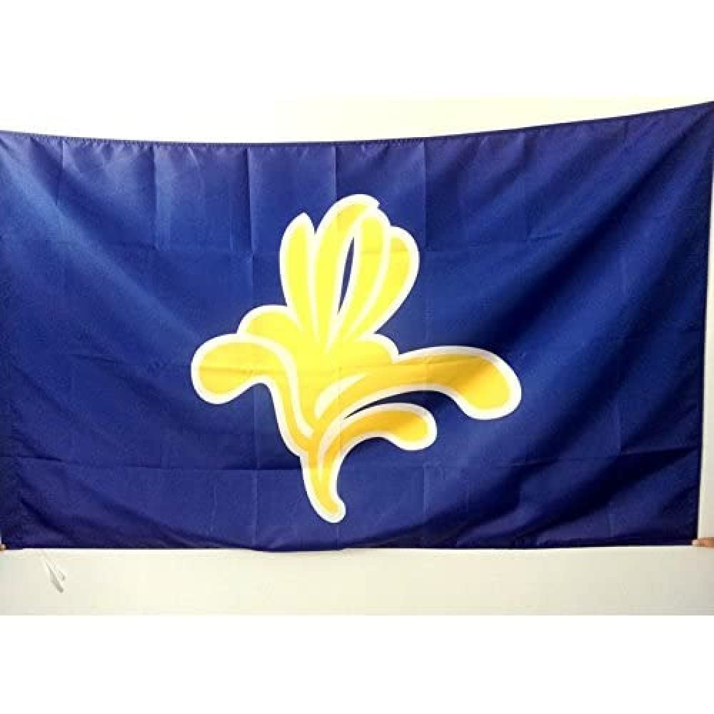 AZ FLAG - Brussels-Capital Region Flag - 3x5 Ft - Bruxelles-Capitale Banner with Sleeve - 100% Polyester - Fade Resistant - Vivid Colors - 3' x 5' Feet - 150x90 Cm