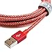 Tera Grand Apple MFi Certified - Lightning to USB Braided Cable with Aluminum Housing 10 ft. Red and Gold