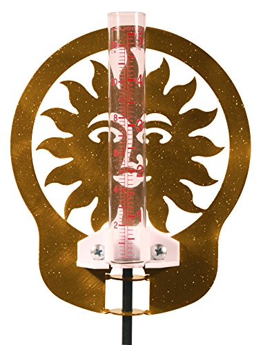 SWEN Products SUN Rain Gauge