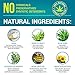 Hemp Extract Cream - 250 Mg - Made in USA - Natural Hemp Pain Relief Cream for Inflammation, Muscle, Joint, Back, Knee & Arthritis Pain - Hemp Salve Contains Arnica, MSM & 10% EMU Oil - Non-GMO