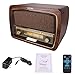 HOVAMP Classic Vinyl Record Player Turntable with AM/FM Radio, CD,USB for MP3 for Smartphones & Tablets