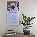 Pugs 2018 16 Month Wall Calendar 12 x 12 inches Bright Day Calendars Publishing