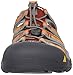 KEEN Men's Newport H2 Sandal