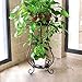 Metal Tall Plant Stand Indoor/Outdoor,Iron Flower Pot Holder Small Plant Holders,Flower Pot Stand Flower Pot Supporting,Potted Plant Stand Plant Rack Planter Stand,for Home,Garden,Patio(Black,31.5in)thumb 2