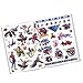 Spiderman Sticker Activity Set - Bundle Includes Spiderman Activity Book with 500 Spiderman Stickers, 3D Stickers, Superhero Door Hanger, in Bag