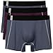 David Archy Men's 3 Pack CleanCool Mesh Breathable Sports Underwear Quick Dry Boxer Briefs