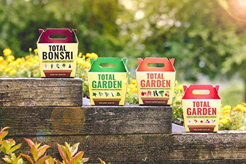 Sproutbrite Bonsai Tree Seed Starter Kit - Grow 5 Trees from Seed - The Most Complete Gardening kit for Growing Mini Bonsai Trees Indoors