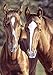Briarwood Lane Tango & Cash Horses Garden Flag Everyday Meadow 12.5
