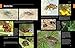 Beetles: The Natural History and Diversity of Coleoptera