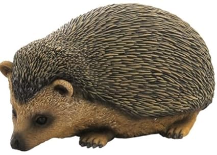Amazoncom 675 Inch Cute Baby Hedgehog Decorative Statue Figurine Amazoncom 675 Inch Cute Baby Hedgehog Decorative Statue Figurine