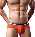 Astarin Male Briefs Underwear Low Rise (Medium, 3 Pack 001)