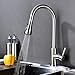 Stainless Steel Kitchen Faucet with Pull Down Sprayer, High Arc Single Handle Faucets for Kitchen Sink with Deck Plate, Brushed Nickel, Naturous