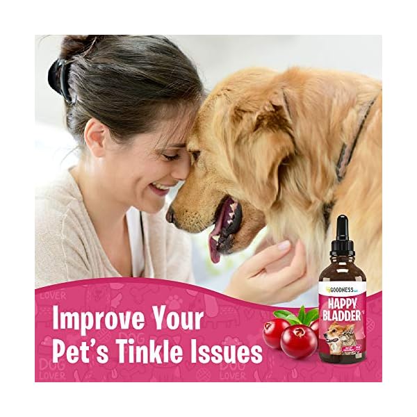 Cranberry Supplements for Dog UTI Cranberry Extract Dog Chews with
