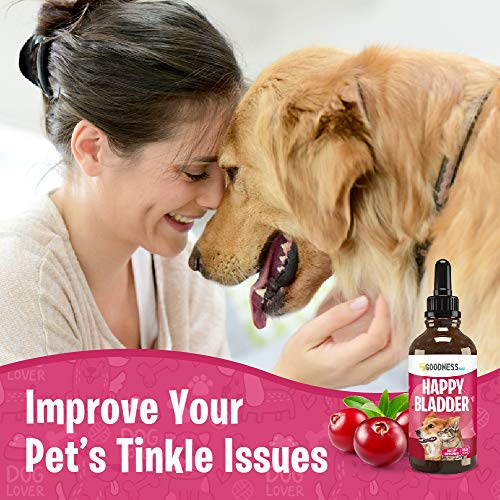 Cranberry Supplements for Dog UTI Cranberry Extract Dog Chews with