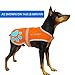 SafetyPUP XD Dog Reflective Vest. Sizes To Fit Dogs 22 lbs To 130 lbs. Blaze Orange Hi Vis Dog Vest Protects Dogs From Cars & Hunting Accidents. (X-Small 14 lbs - 22 lbs)…