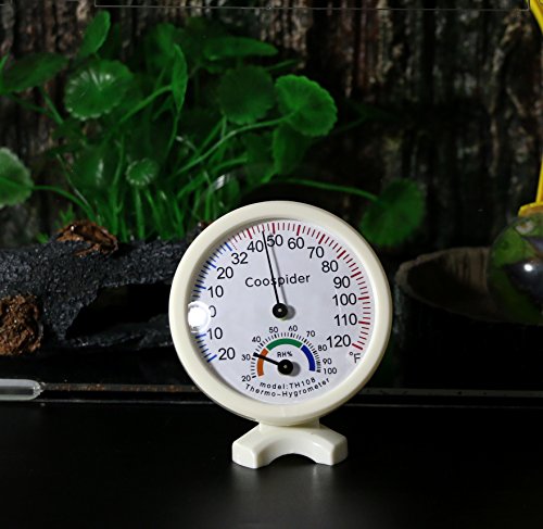 Coospider Reptile Amphibian Terrarium Vivariums Rock Back Feeding Habitat Kit Horizontal Size t12“ L x 8" W x 6" H