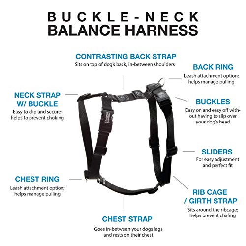 blue nine harness