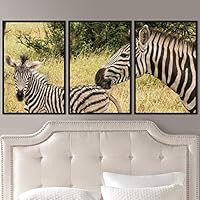 3 Piece Framed Canvas Wall Art Double Striped Animals Black and White Dramatic Modern Art for Living Room Bedroom - 16