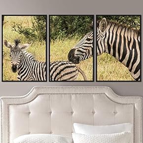 signwin 3 Piece Framed Canvas Wall Art Double...