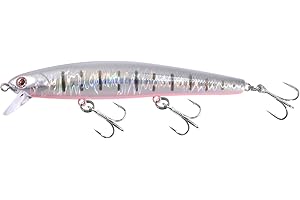 LITTMA-California Surf Fishing, Surf Minnow 110, LITTMA Saltwater Jerkbait Crankbait Surf Flash Fishing Salt Pro Lure Minnow 110, Metallic Sardine Super Glow, Halibut Striper Fishing Lures