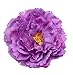 Kewl Fashion Women's Bohemia Peony Flowers Hairpin Hair Clip Flower Brooch