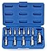 Neiko 10085A Tamperproof Torx Plus Bit Socket, 12 Piece Set | 5 Point Star, 8 IPR - 60 IPR | Cr-V & S2 Steel primary