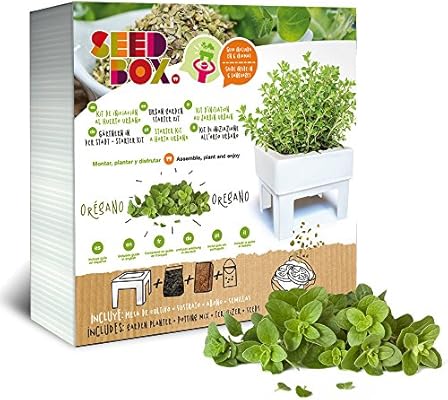 SeedBox SBCUOR-Oregano: Amazon.es: Jardín