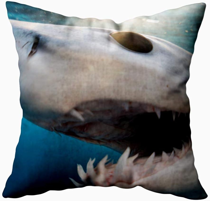 KIOAO 20X20 Pillow Case, Standard 20X20Inch Soft Square Throw Pillowcase Covers Fall Pillow Cover Shark Diving in The Sea of with Coast Cabo San Mexico a Mako Lucas Printed with Both Sides,Halloween