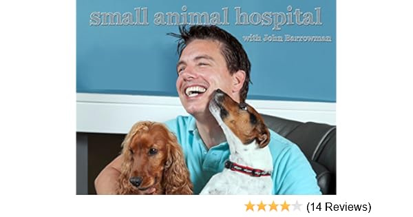 400 animal hospital