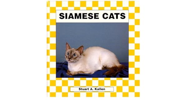 Stuart A Kallen