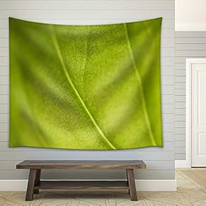 Beautiful Background of Green Plant Leaf - Fabric Wall Tapestry Home Decor - 51x60 inches