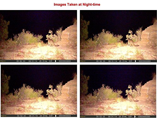 Trail Camera 12MP 1080P HD Waterproof IP66 Infrared Night Vision IR LED Game and Trail Hunting Scouting Camera with Game Call Function for Cold Blooded Animals Surveillance Camera