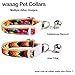 WAAAG Pet Supplies, (Kaleidoscope Diamond) Cat Collar, Dog Collar, Cat Leash, Dog Leash, Cat Harness, Dog Harness, Small Dog Collar, Medium Dog Collar, Large Dog Collar (Pet Collar, XXS)