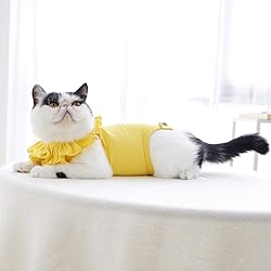 Cat Recovery Suit for Abdominal Wounds and Skin
