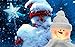 Snowman Light Christmas Lamp Crystal Glass Snowballs Night Lights with Santa Claus Hat for Thanksgiving Christmas Holidays Home décor & Ideal Gifts (White)