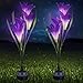 Sorbus LED Flower Light Lily Stakes, 2 Pack Solar Multi-Color Changing 8 LED Outdoor Garden Flowers,Lawn, Garden, Patio, Night Lighting, Path Walkway, Gravestone, Wedding (2 Purple Color Changing)