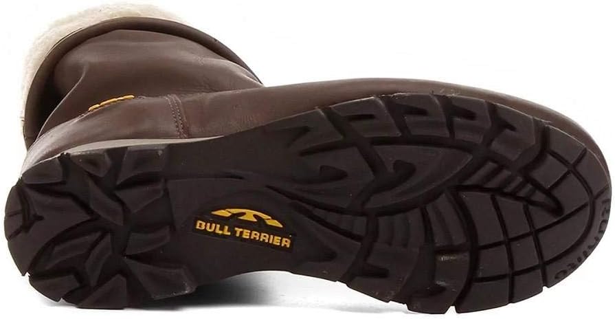 bull terrier snow trail