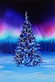 All Aglow Borealis Christmas Digital Panel 30