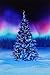 All Aglow Borealis Christmas Digital Panel 30