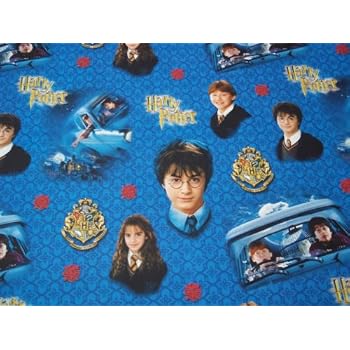 Amazon.com: Harry Potter Gift Wrap Roll Wrapping Paper 15 Sq Ft: Health ...