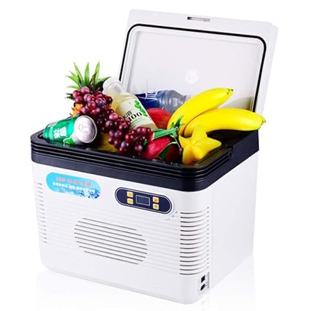 18L Nevera Portatil Electrica 12V 220V Nevera Termoeléctrica Mini ...