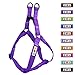 Pawtitas Extra Small Dog Harness Purple Dog Harness Step in from a Senior Dog to a Puppy Harness Adjustable Reflective Dog Harness XS Reflective Dog Vest