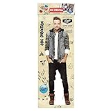 One Direction Liam Desktop Standee NEW 2014
