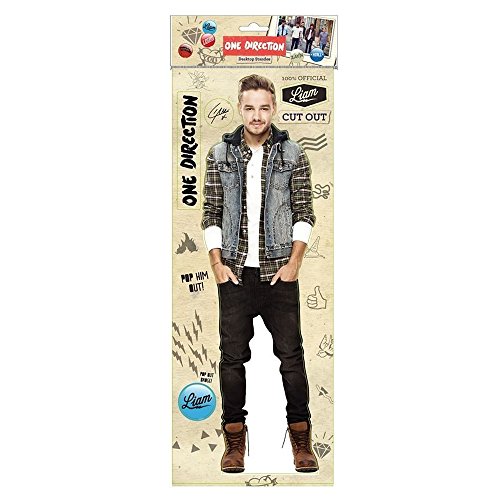 One Direction Liam Desktop Standee NEW 2014 by Mask-arade
