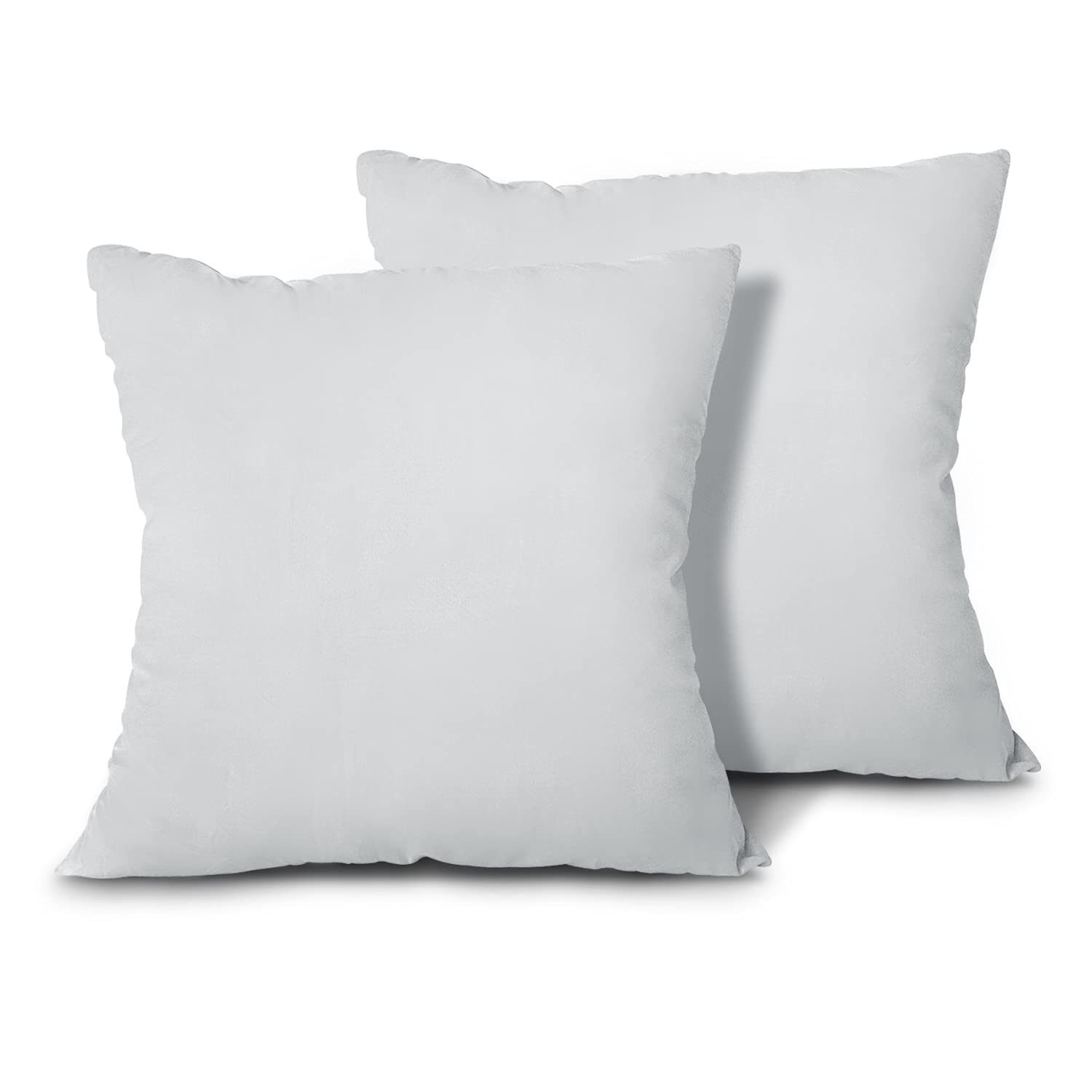 Edow EDOW Throw Pillow Inserts, Set of 2 Lightweight Down Alternative ...