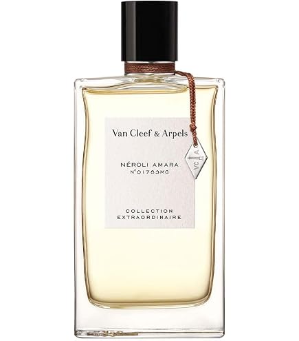 Amazon.com : Van Cleef & Arpels Bois D'iris Women's Edp Spray, 2.5