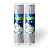 2 pcs Big Blue CTO Carbon Block Water Filters 4.5